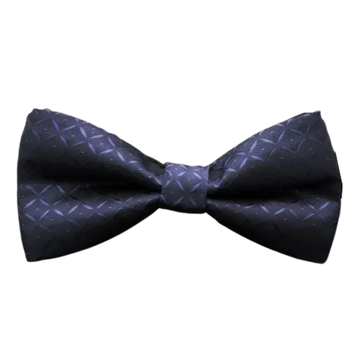 Blue Bow Tie